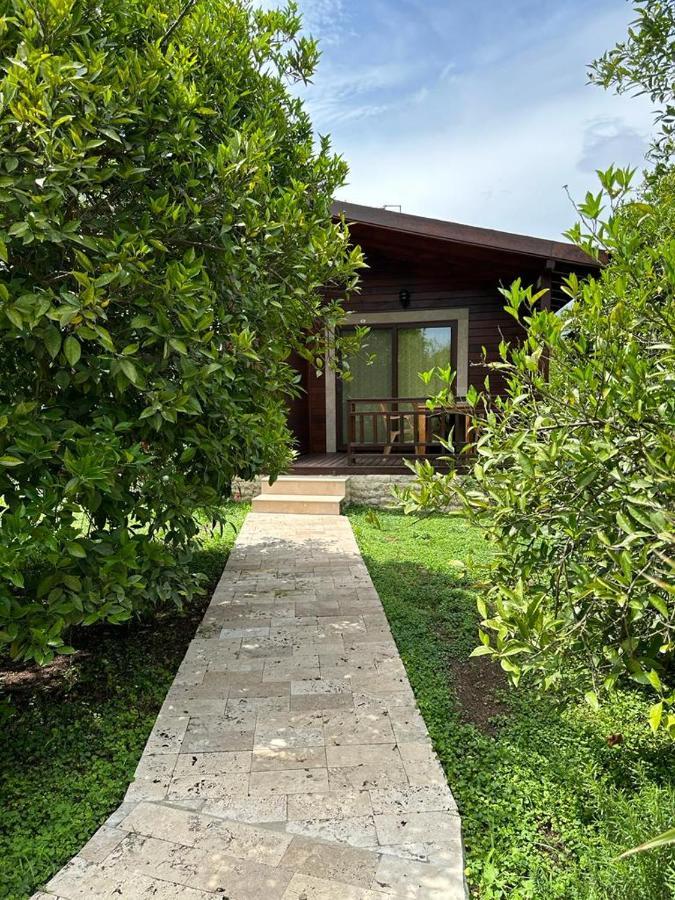 Cirali Villas 2 Eksteriør bilde